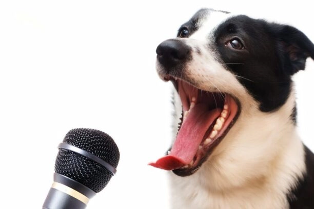 hond met microfoon, ter illustratie van dierentaal