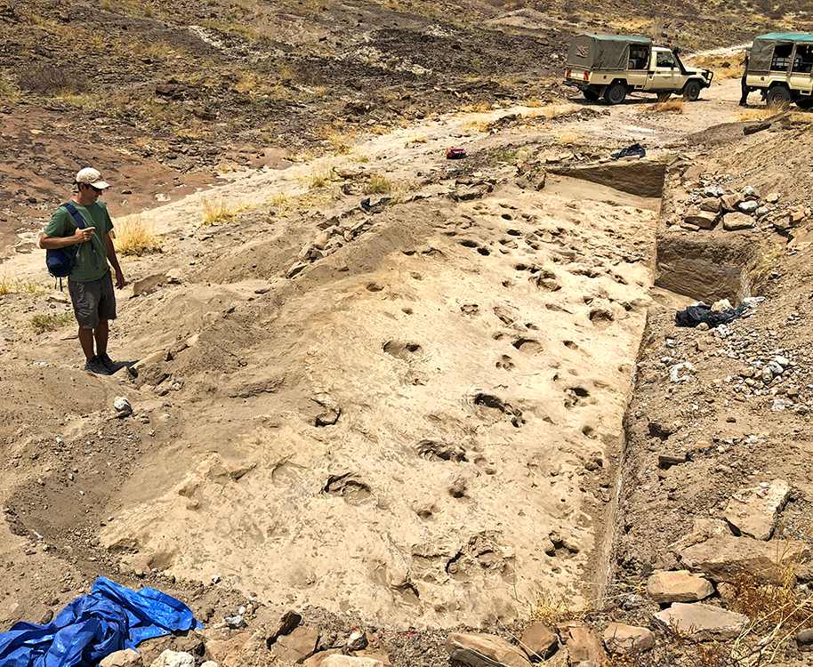 Voetafdrukken van nijlpaarden, antilopen en Paranthropus boisei