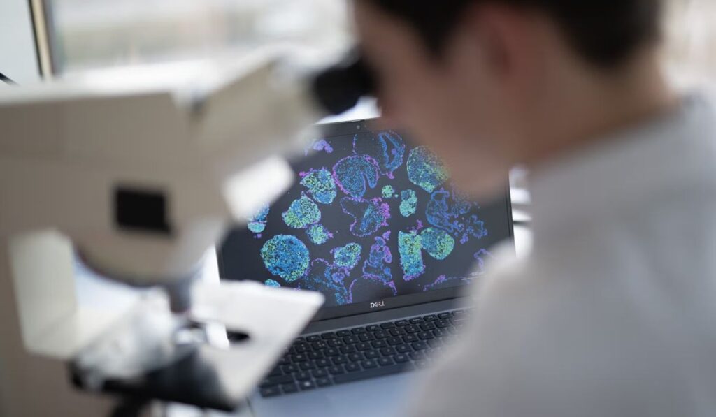 Wetenschapper kijkt door microscoop