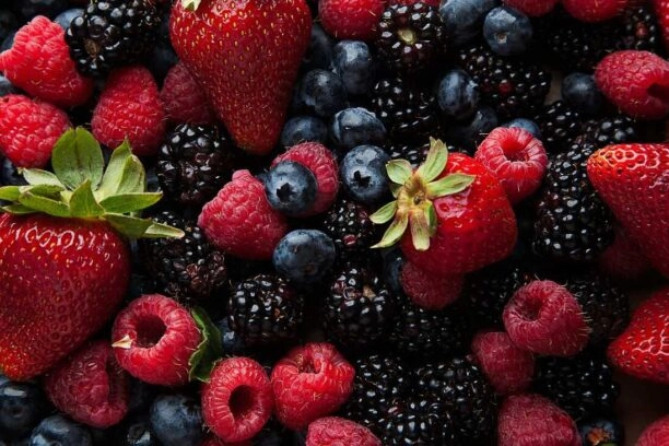 fruit