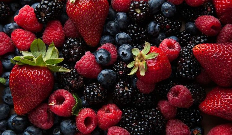 fruit