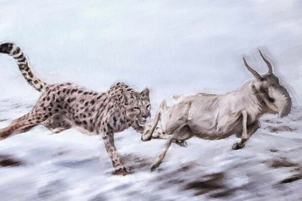Illustratie van een 'Amerikaanse cheeta', oftewel Miracinonyx trumani, die op een saiga-antilope jaagt.