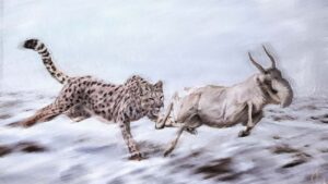 Illustratie van een 'Amerikaanse cheeta', oftewel Miracinonyx trumani, die op een saiga-antilope jaagt.